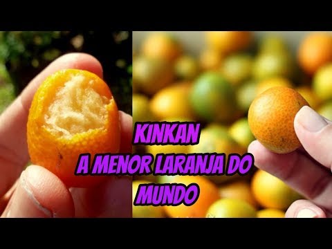 Vídeo: Kumquat: Que Tipo De Fruta é?