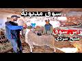 راس سوق مديونة مليح لي عندو ناسو بعيدا على شناقة اكبر خروف لعيد 