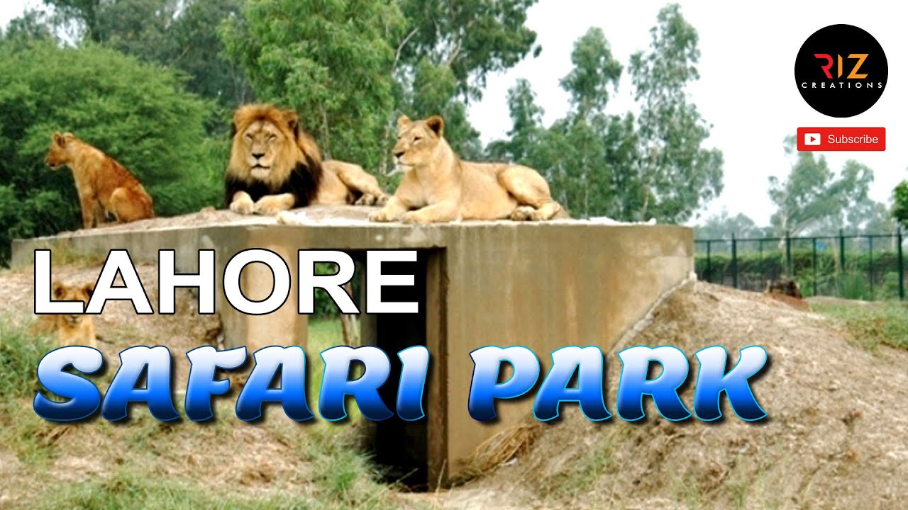 safari park lahore open today