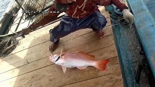 Alhamdulillah jumpa spot ikan kakap merah 🔥