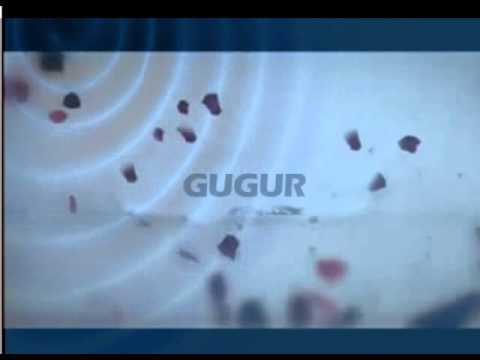 SUMPAH PEMUDA - 28 OKTOBER 1928 ADVERTISING#TASK4 - YouTube