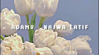 Najwa Latif - AdaMu ( slowed and reverb )