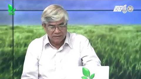 Khắc phục khi cá trắm đen toàn thân, bơi lờ đờ