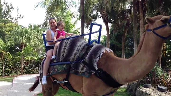 Yadi and Jocy riding a Camel!