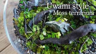 Creating a “UWAMI-style” moss terrarium that can be viewed from above by 苔テラリウム専門-道草ちゃんねる‐ 13,418 views 7 months ago 13 minutes, 47 seconds