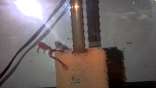 VID-20120504-00005