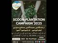 SCOON SWEDEN PLANTATION CAMPAIGN 2025 #makingadifference #treeplantation