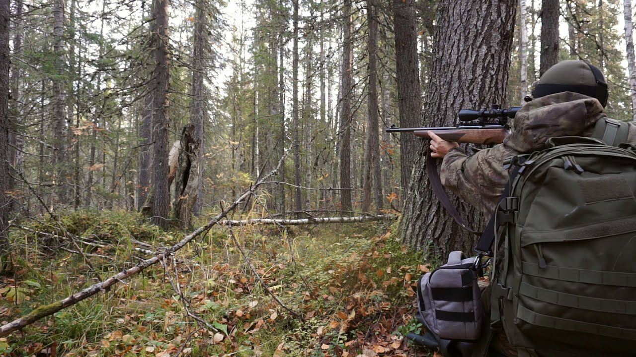 Жизнь в тайге охота видео