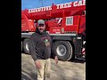 Always Look to See if Your Tree Care Company Are Certified Arborist-Here's Why