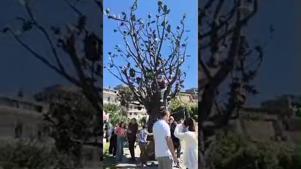 Лучший момент трансляции