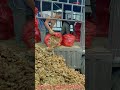 精密農業の荷役！バラ積み荷役技術