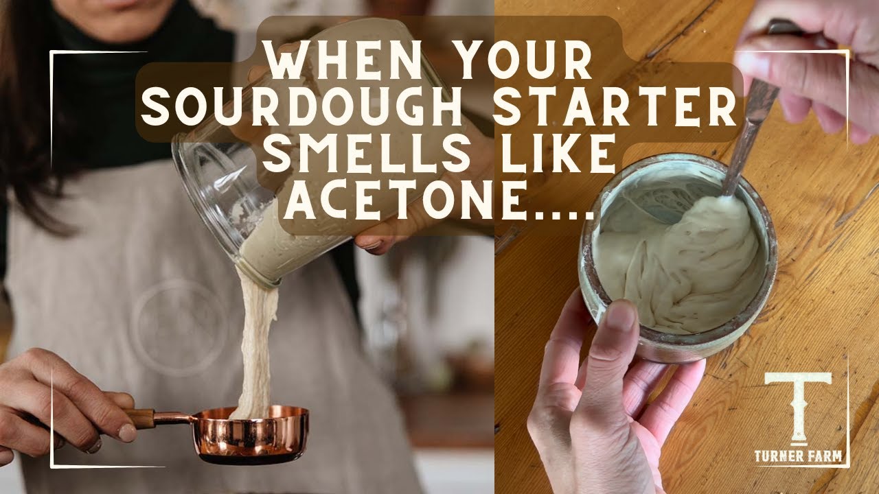 Why Does Your Sourdough Starter Smell Like ACETONE?!?!