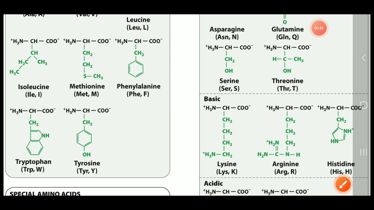 Hydrophobic And Hydrophilic Amino acids classification and special