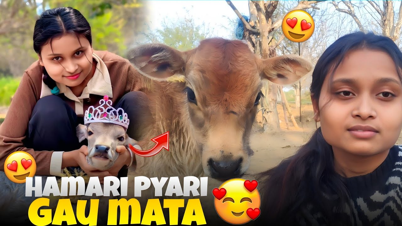 हमारी प्यारी गऊ माता ♥️ | Vlog 2 | Miss Pari Vlog