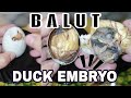 🔴ASMR Balut Duck Embryo EXOTIC DELICACY ep.61