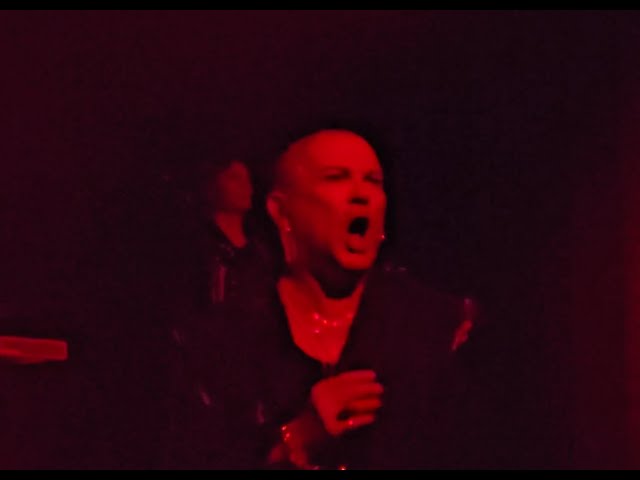 Gavin Friday - Caucasian Walk (Virgin Prunes track) (Live @ EArtH