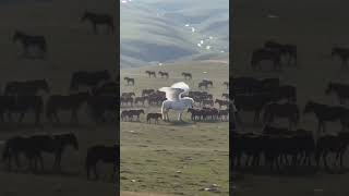 A phenomenon unlike any other captured on camera. Global experts are ...