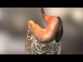 Patterson Veterinary DIA Client Education Video- Gastric Dilatation-Volvulus (GDV)- Bloat