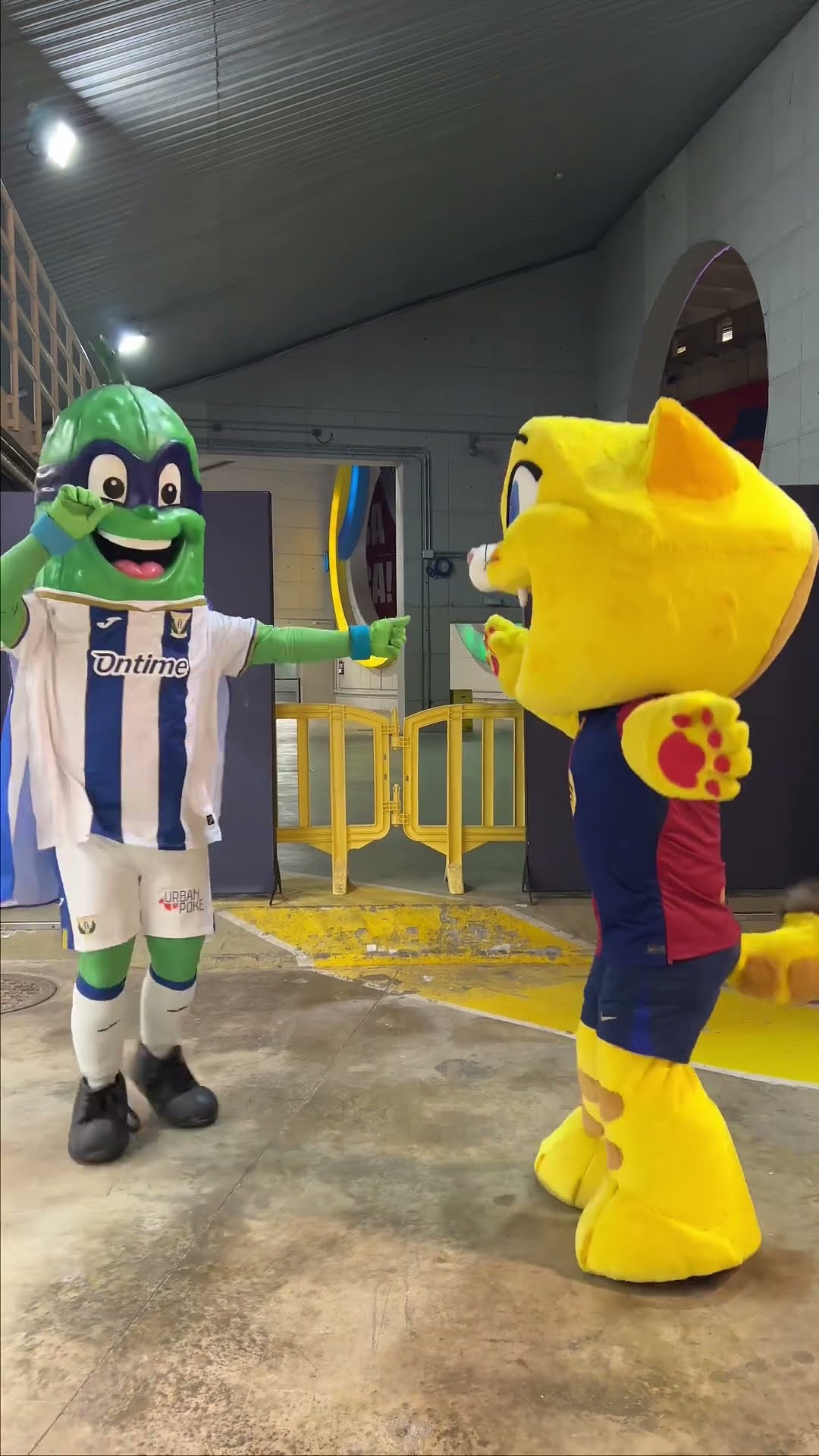 They are best friend now ??  #fcbarcelona #CDLeganés #Cat #shorts