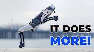 This Robot Dog Actually Performs! DEEP Robotics Lite 3 Demo