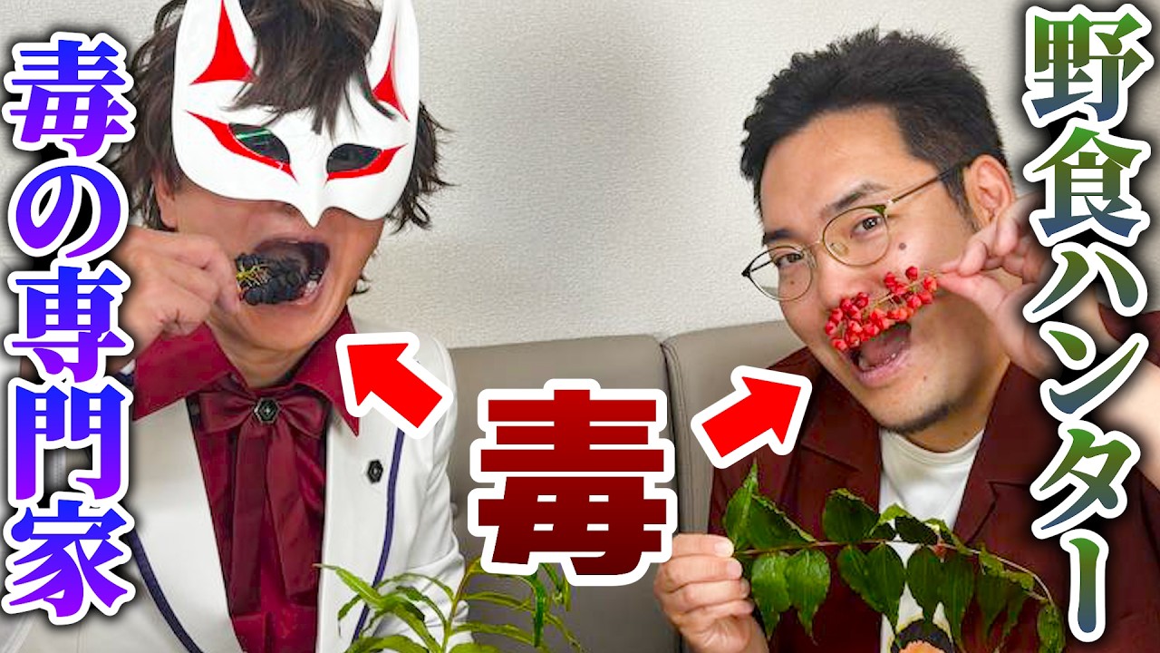 【猛毒】ドクウツギ食べてみた【野食ハンター茸本朗コラボ】