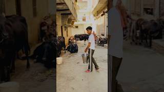 Subscribe me #shortvideo #youtubeshorts