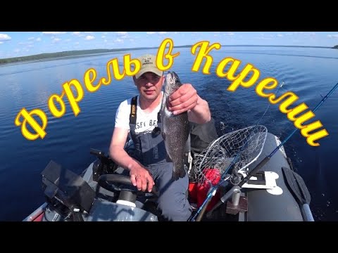 В поисках беглянки.ФОРЕЛЬ в КАРЕЛИИ!