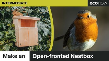 Make an open-fronted bird box