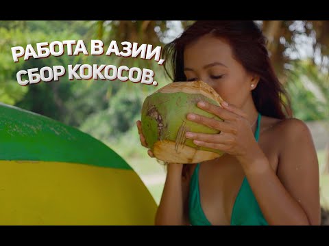 Video: Азия стилиндеги кокос шорпосу