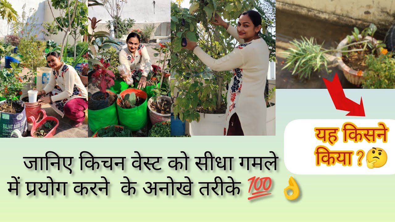 Узнайте уникальные способы использования кухонных отходов прямо в горшке💯👌/Кто это сделал?🤔#вирус...