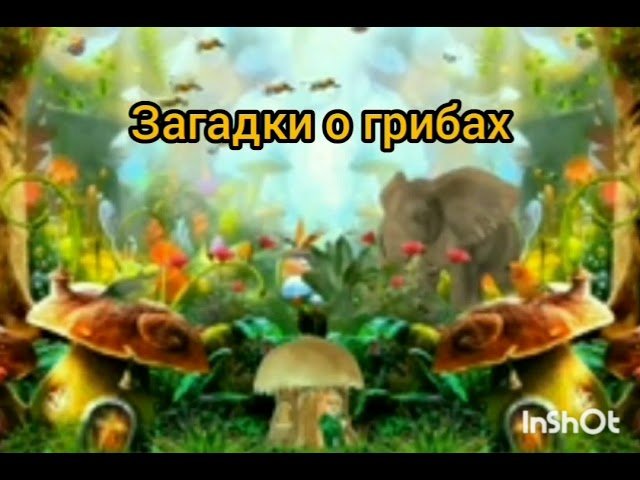 Загадки о грибах