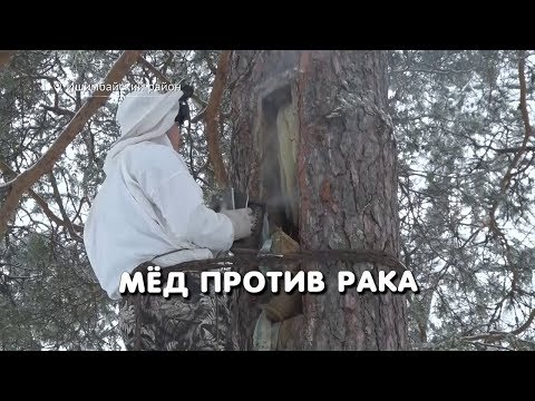 Мёд против рака 12+