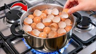 Don't Throw Away Eggshells! Boil Them and You'll Be Amazed by the Results!