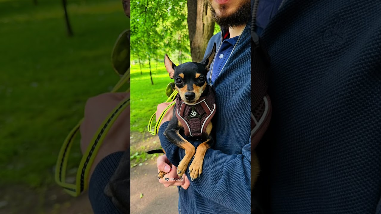 Увы, план не сработал😔 