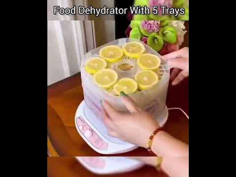Food Dehydrator Machine Electric Food Fruit Dehydrator Machine Constant Temperature Setting