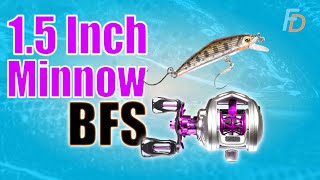BFS Fishing with Tiny Jerkbait (1.4 grams)