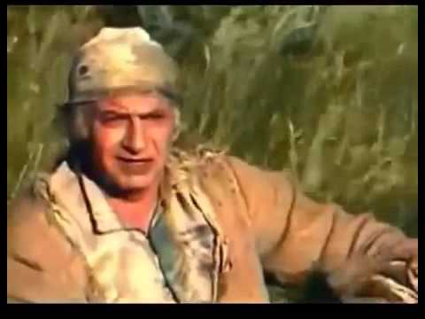 საბრალო მძარცველის ამბავი