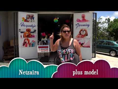 Netzaira Tiny Model 2017