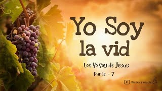 Yo Soy La Vid Verdadera. Reflexión 📖 Los "Yo Soy " de Jesús. Parte -7