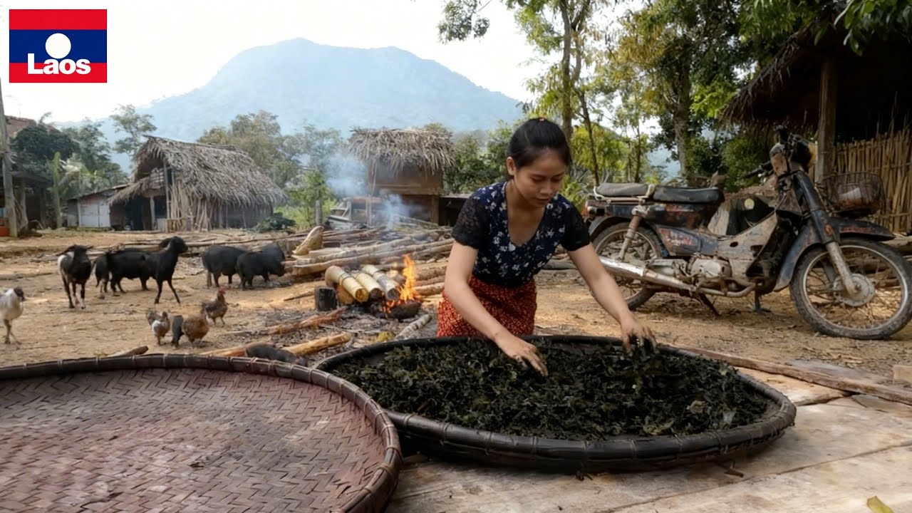 Реальная жизнь племени Бру в сельском Лаосе! Таинственная деревня на границе с Вьетнамом