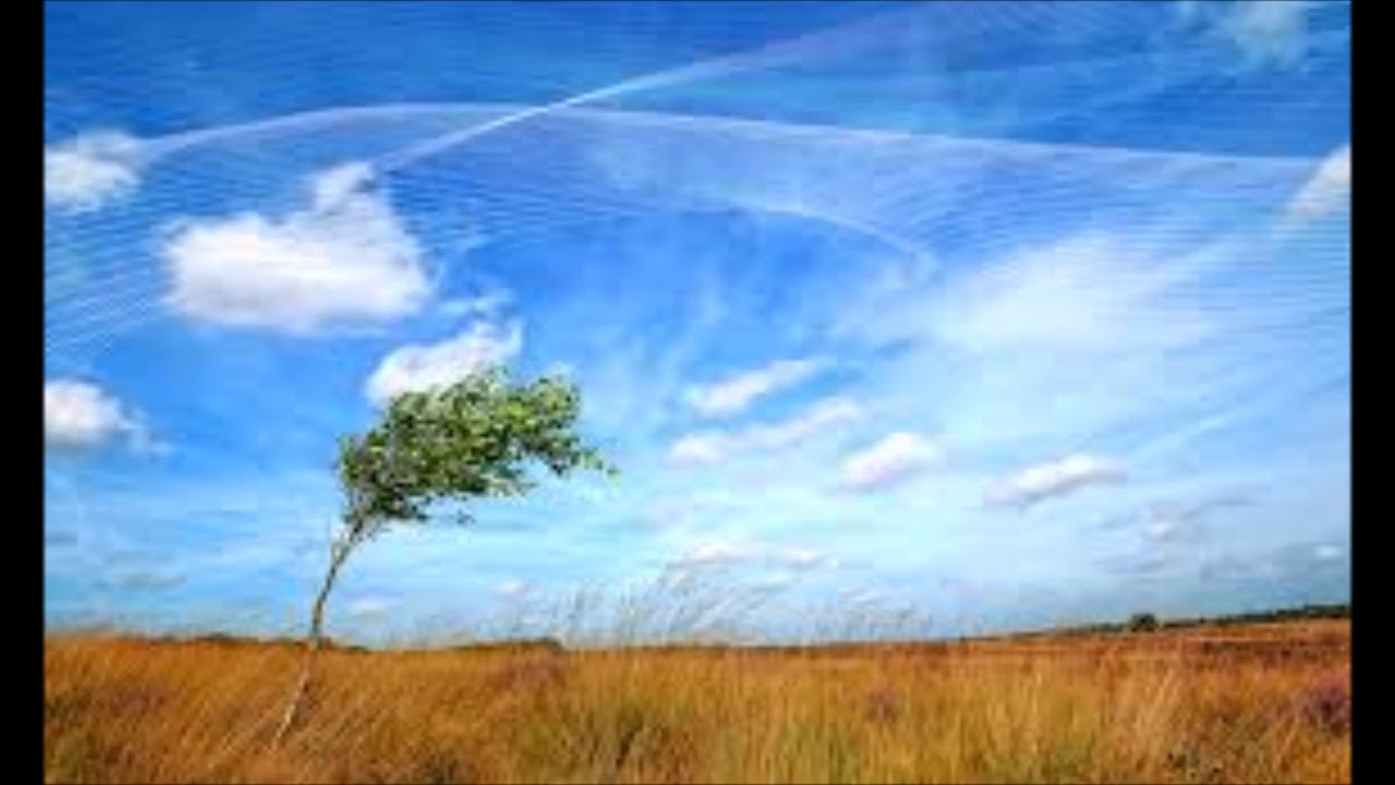 Westwind Overture Anne McGinty YouTube