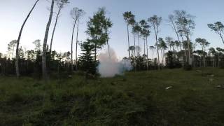 Tree Fall Via Shockwave