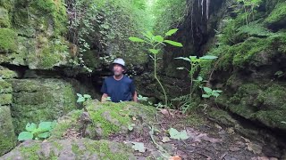 Ledge park Dodge county Wisconsin   Niagara Escarpment beauty at its best!