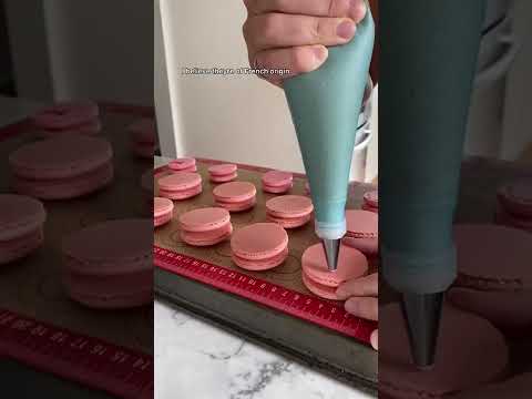 Video: Vem är fröken macaroon?