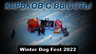 Пятихатки. Winter Dog Fest 2022. Харьков с высоты. Февраль.