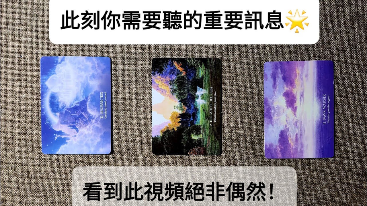 CC字幕｜占卜🔮此刻你需要听的重要信息🦋（Timeless）