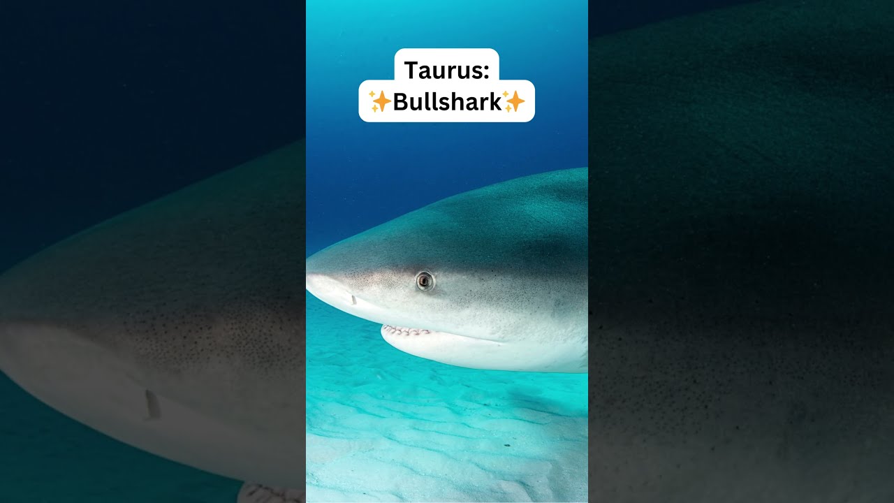 Zodiac Signs ~ Aquatic Animals 