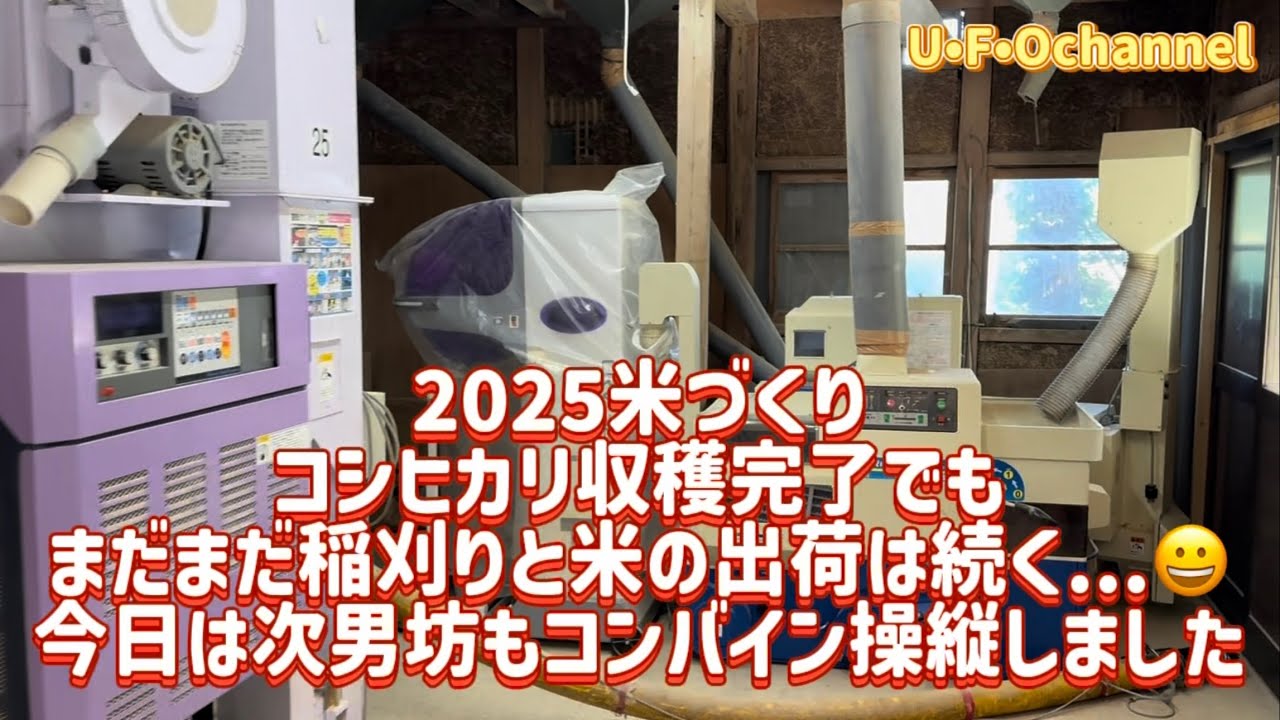 【2025米づくり】コシヒカリ収穫完了でもまだまだ稲刈りと米の出荷は続く...😀今日は次男坊もコンバイン操縦しました@ufochannel777sadoagri 