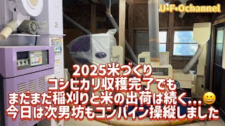 【2025米づくり】コシヒカリ収穫完了でもまだまだ稲刈りと米の出荷は続く...😀今日は次男坊もコンバイン操縦しました@ufochannel777sadoagri  2025米づくり 稲刈りまで1週間順調に育ってます 早くコンバイン乗りたい Ufochannel777sadoagri