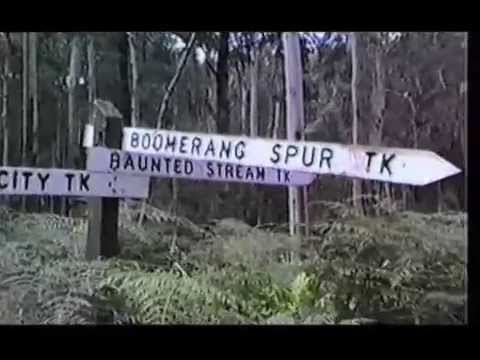Haunt Stream Haunt Stream